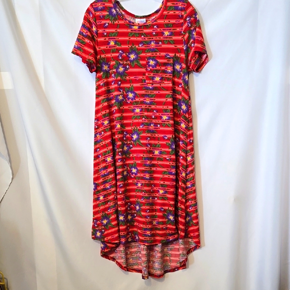 LulaRoe, Dress, Sz XS, Striped, Floral, Hi Lo Hem, Red, Purple, Yellow, Green